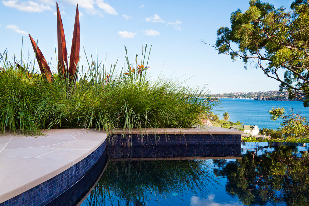 Mittelgroßer Moderner Infinity-Pool hinter dem Haus in individueller Form in Sydney