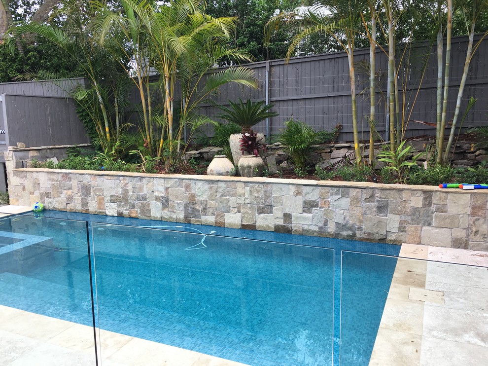 Imagen de piscina minimalista en patio trasero con paisajismo de piscina