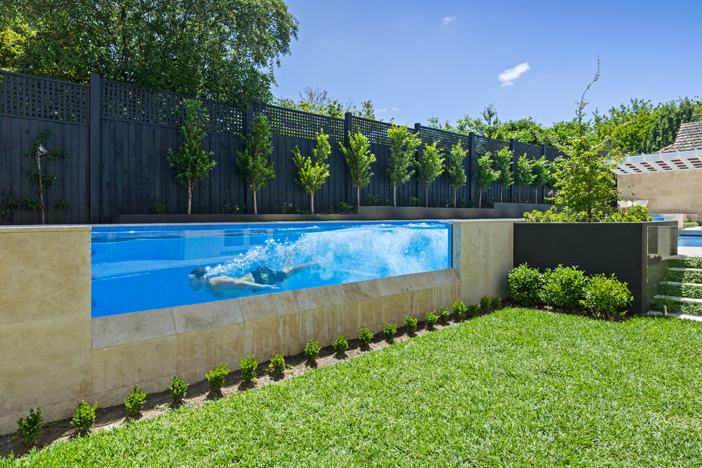 На фото: спортивный, прямоугольный бассейн на заднем дворе в стиле модернизм с забором с