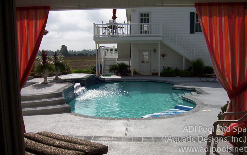 Mt. Olive Swimming Pool Traditional Pool Raleigh by ADI Pool