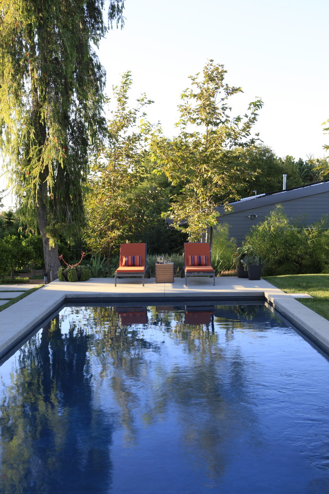 На фото: прямоугольный бассейн в стиле модернизм