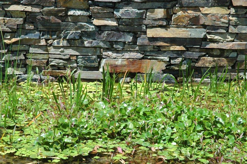 Modelo de jardín rústico grande en patio trasero con fuente y adoquines de piedra natural