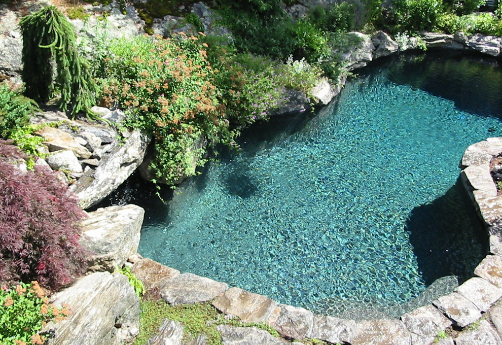 Foto de piscina natural rústica de tamaño medio a medida en patio trasero con adoquines de ladrillo
