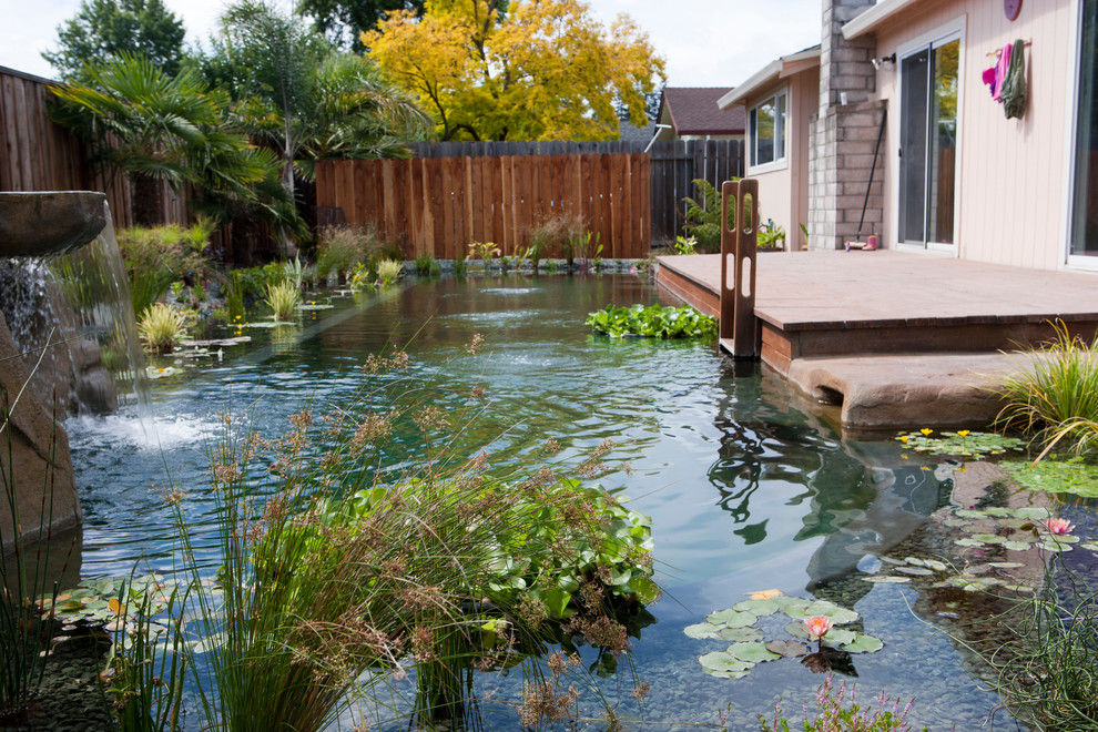 Esempio di una grande piscina naturale tropicale personalizzata dietro casa con fontane e lastre di cemento