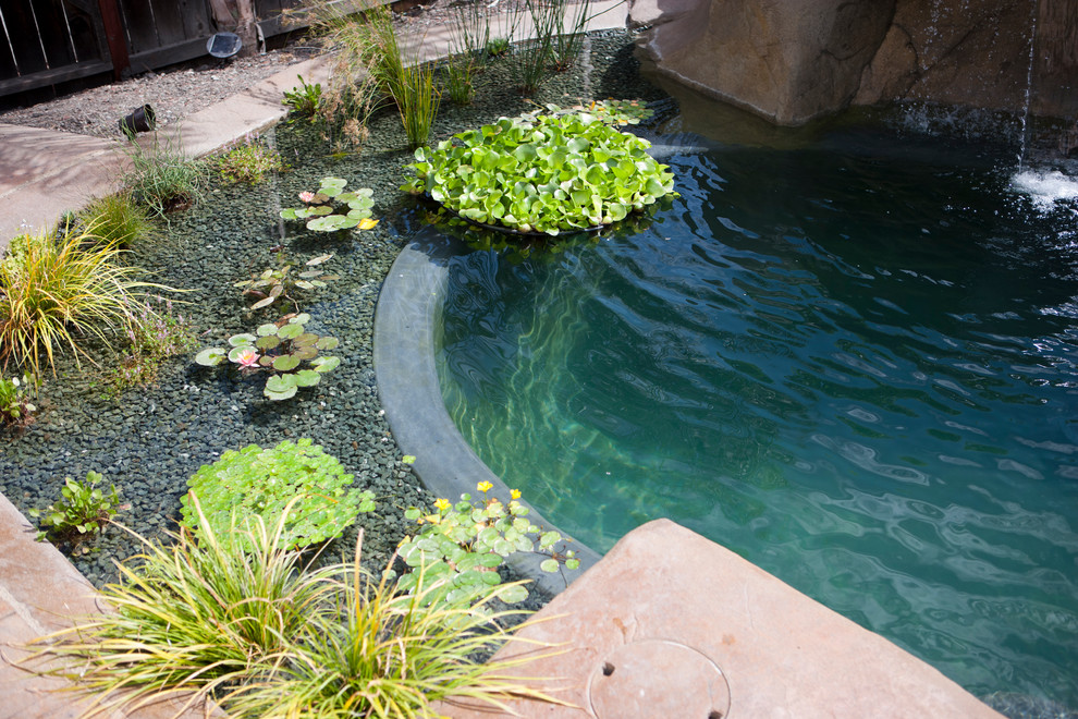 Cette image montre une grande piscine naturelle et arrière ethnique sur mesure avec un point d'eau et une dalle de béton.