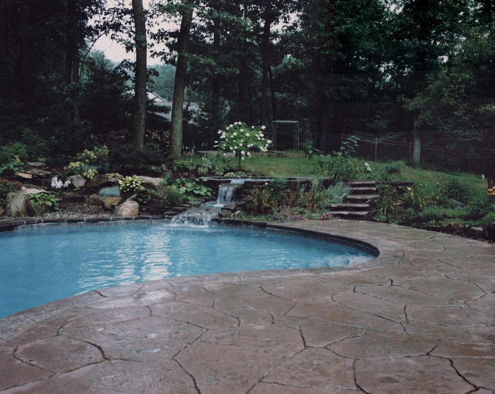 Natural swimming pool and spa Traditional Pool Philadelphia by