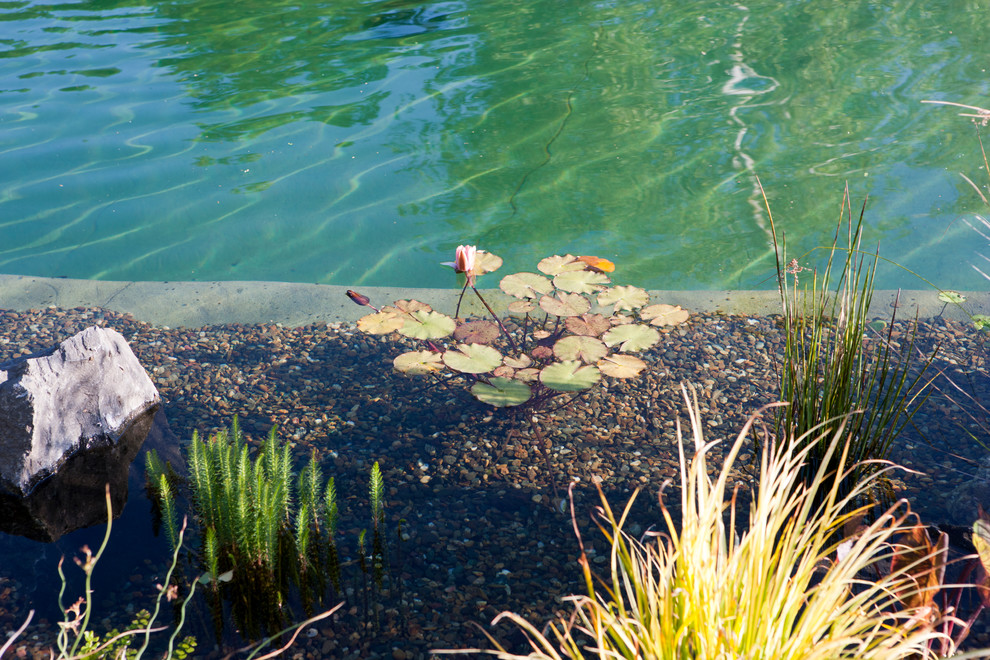 На фото: большой естественный бассейн произвольной формы на заднем дворе в морском стиле с покрытием из гравия