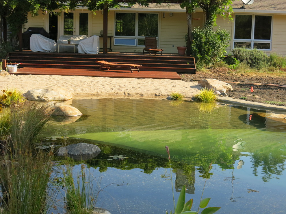 Imagen de piscina natural marinera grande a medida en patio trasero con gravilla