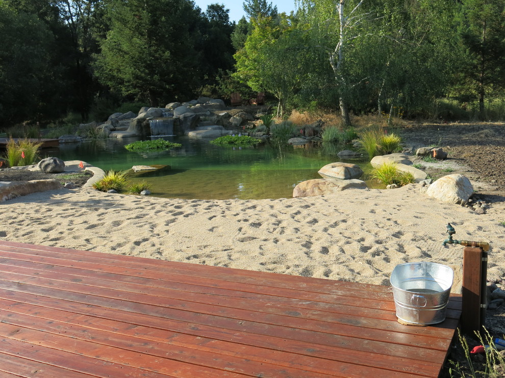 Foto di una grande piscina naturale stile marino personalizzata dietro casa con ghiaia