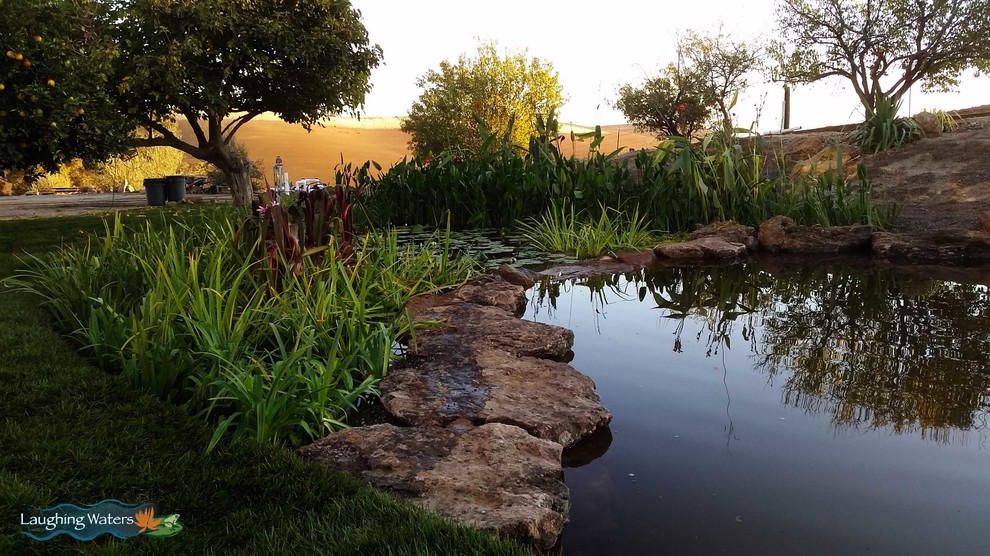 Modelo de piscina con fuente natural rural grande en patio trasero