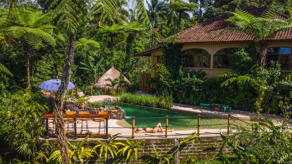 Immagine di una piscina naturale tropicale personalizzata di medie dimensioni con paesaggistica bordo piscina
