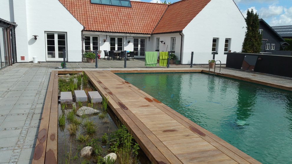 Esempio di una piscina scandinava
