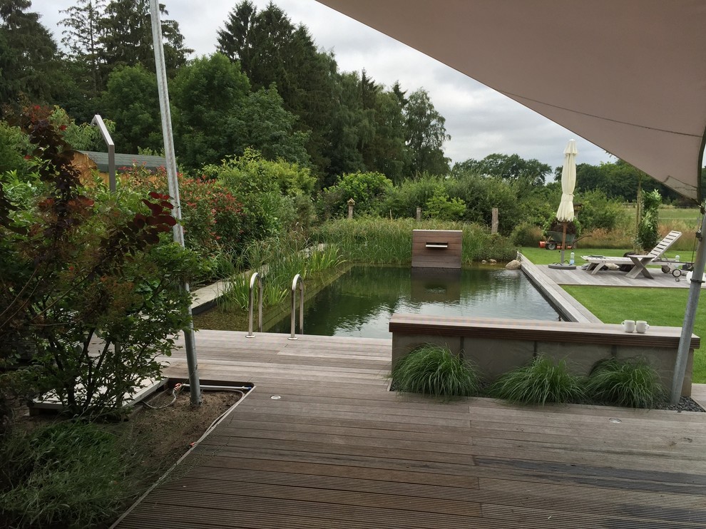 Imagen de piscina natural actual de tamaño medio rectangular en patio lateral con entablado