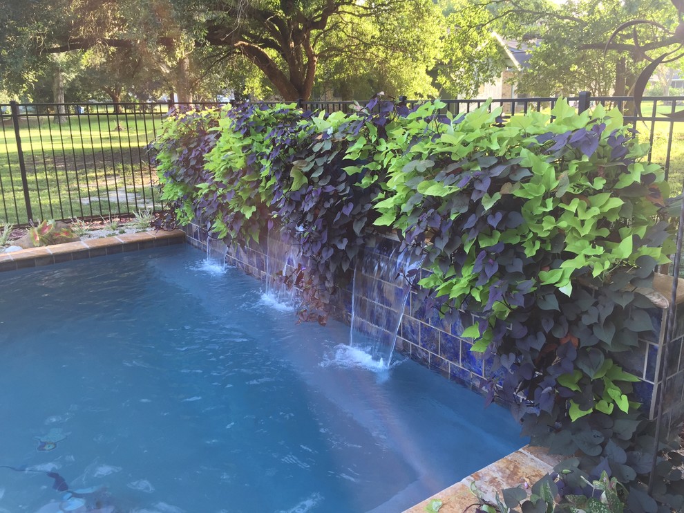 Idee per una piccola piscina naturale contemporanea rettangolare dietro casa con fontane e pedane