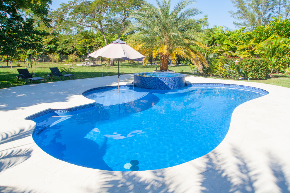New Swimming Pool & Spa With Sunshelf in Parkland, Florida Modern