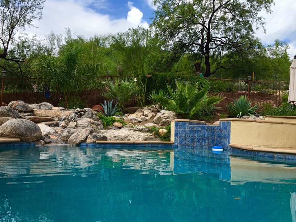 Imagen de piscinas y jacuzzis naturales contemporáneos grandes a medida en patio trasero con adoquines de piedra natural