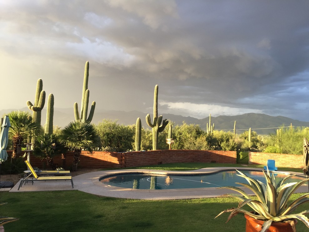 Idée de décoration pour une piscine naturelle et arrière sud-ouest américain en forme de haricot de taille moyenne avec une dalle de béton.