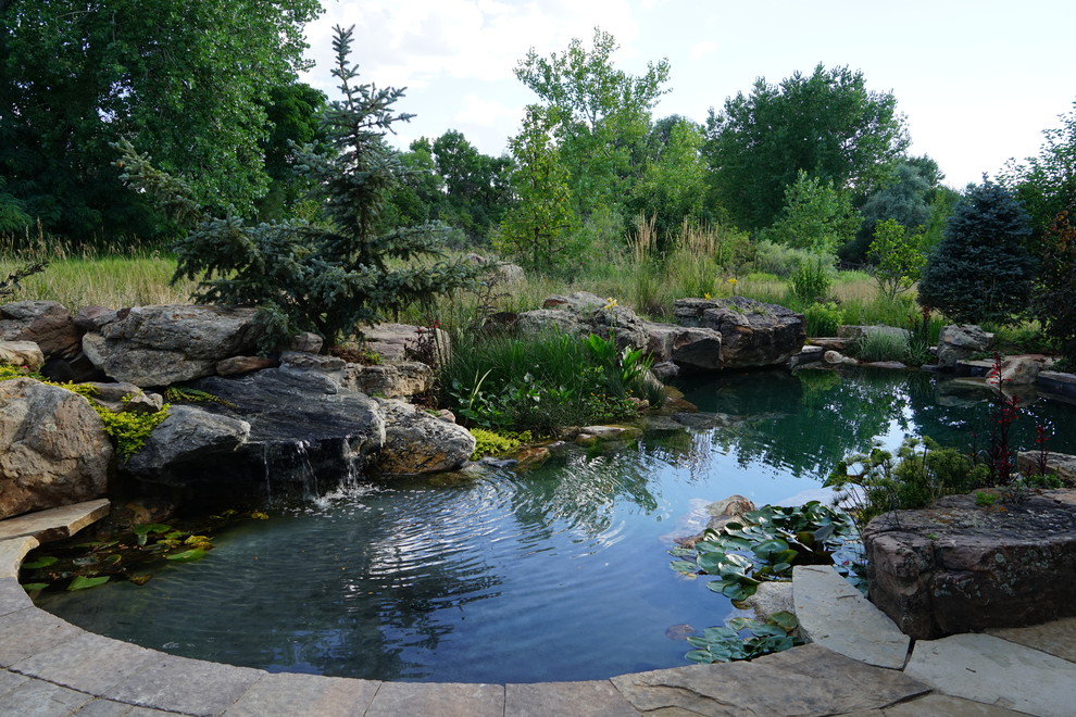 На фото: естественный бассейн среднего размера, произвольной формы на заднем дворе в современном стиле с фонтаном и покрытием из каменной брусчатки