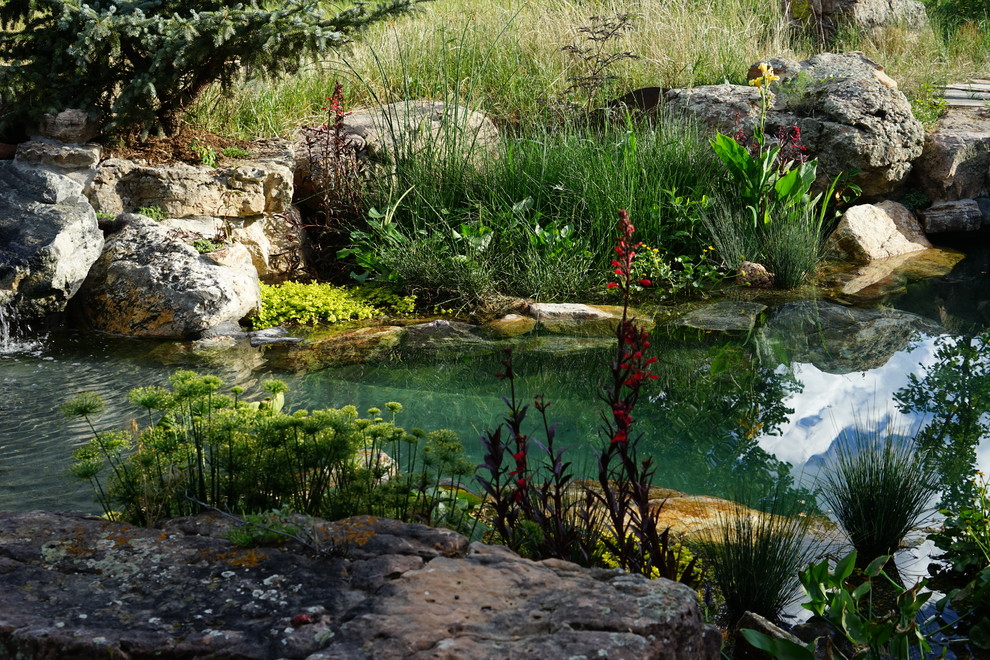 Diseño de piscina con fuente natural contemporánea de tamaño medio a medida en patio trasero con adoquines de piedra natural