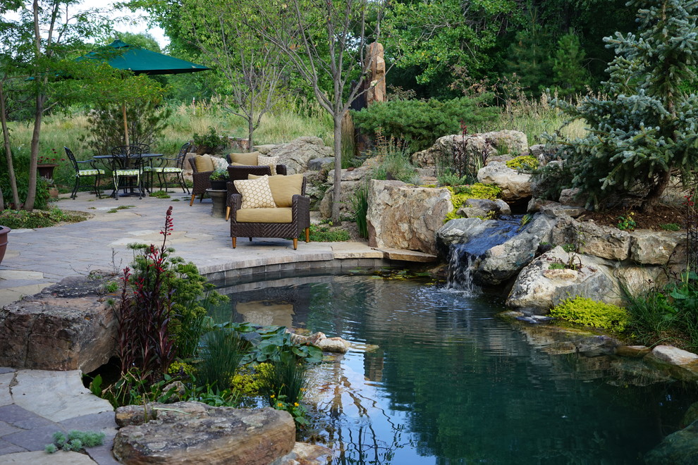 Example of a mid-sized trendy backyard stone and custom-shaped natural pool fountain design in Denver