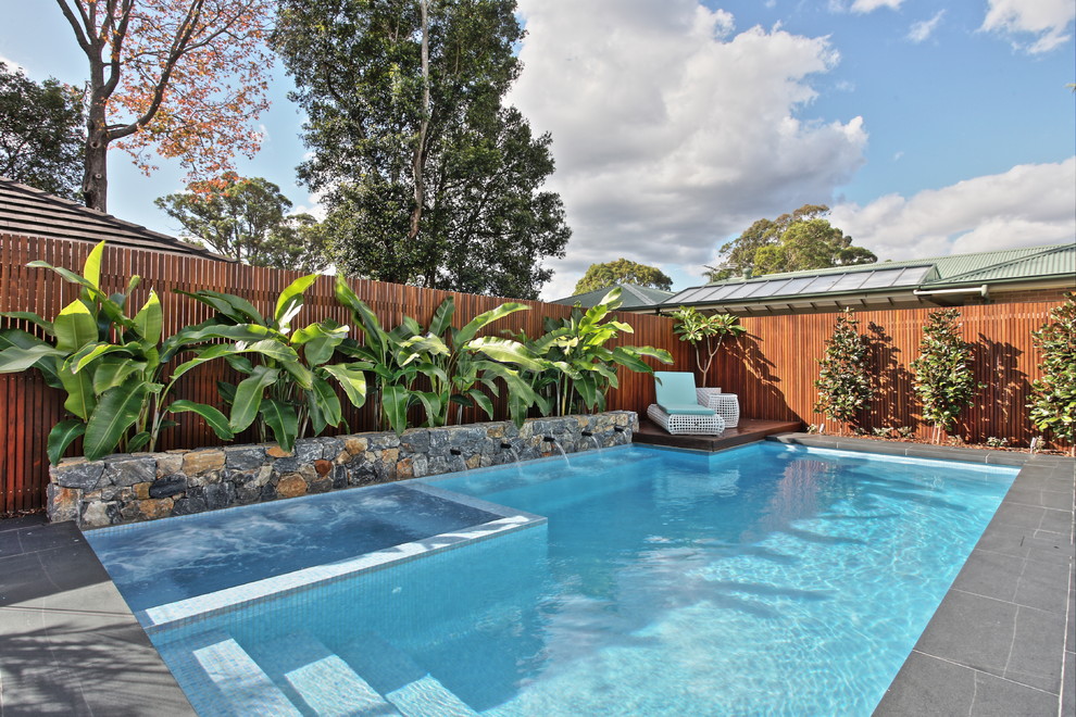 シドニーにある高級な中くらいなトロピカルスタイルのおしゃれなプール (天然石敷き) の写真