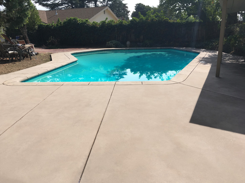 Immagine di una piscina fuori terra minimalista personalizzata di medie dimensioni e dietro casa con una dépendance a bordo piscina e pavimentazioni in cemento