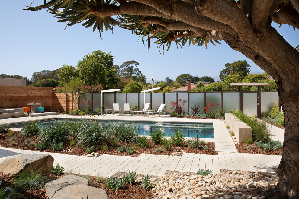 Immagine di una piscina monocorsia design rettangolare di medie dimensioni e dietro casa con pavimentazioni in cemento e una vasca idromassaggio