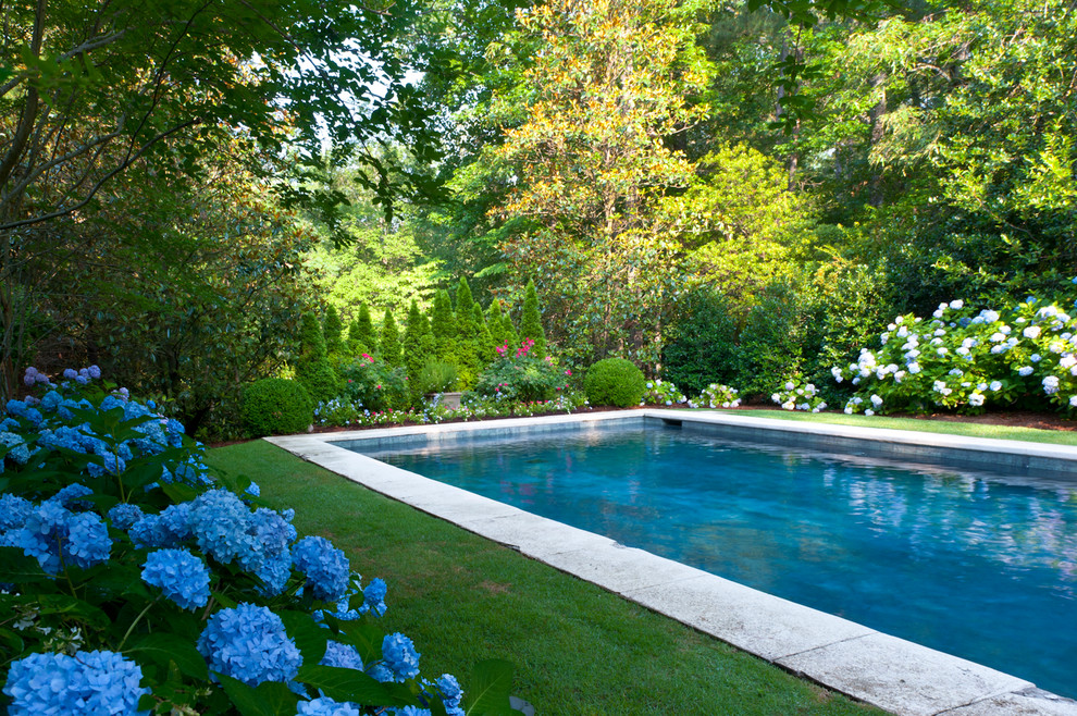 Imagen de piscina clásica rectangular