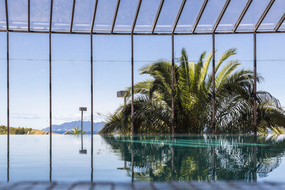 Großer, Gefliester Moderner Pool in individueller Form mit Sichtschutz in Auckland