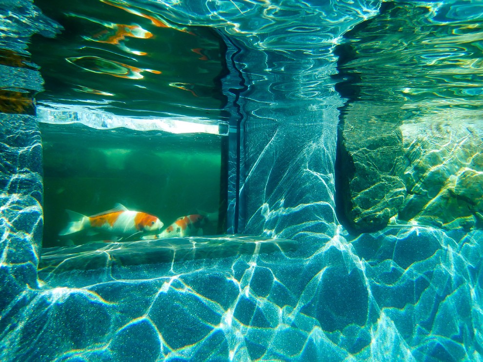 Immagine di un'ampia piscina naturale personalizzata dietro casa con una vasca idromassaggio e pavimentazioni in cemento