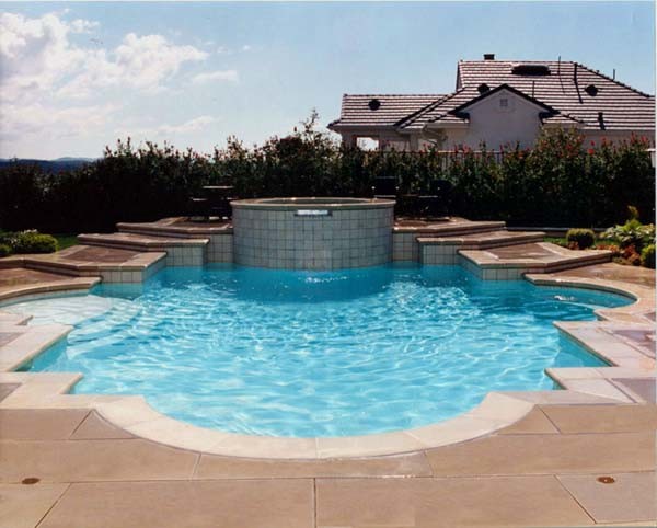 Пример оригинального дизайна: бассейн среднего размера, произвольной формы на заднем дворе в классическом стиле