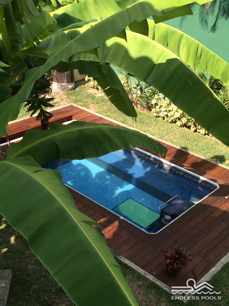 Ejemplo de piscina exótica pequeña en patio trasero