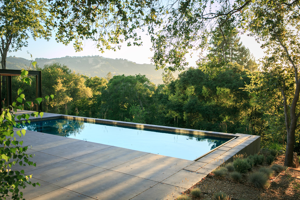 Foto di una piscina minimal dietro casa
