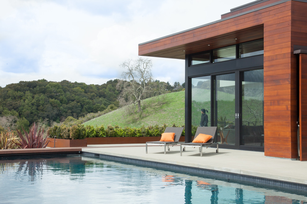 Esempio di una piscina minimalista dietro casa con lastre di cemento e fontane