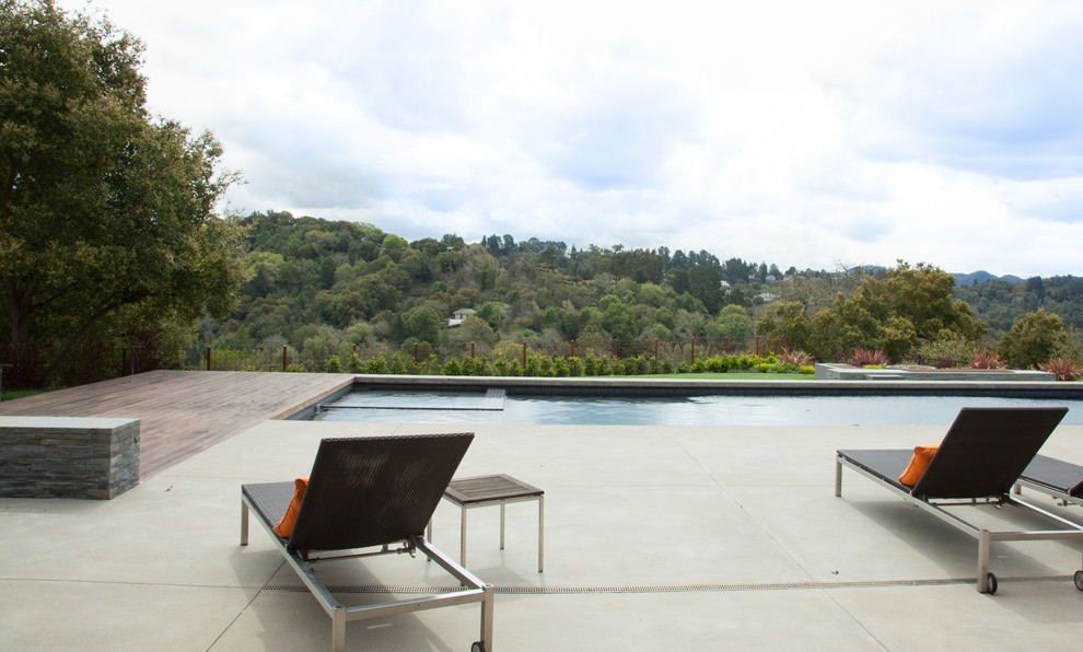 Источник вдохновения для домашнего уюта: бассейн на заднем дворе в стиле модернизм