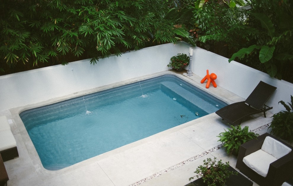 Idées déco pour une petite piscine naturelle et arrière contemporaine rectangle avec un point d'eau et une dalle de béton.