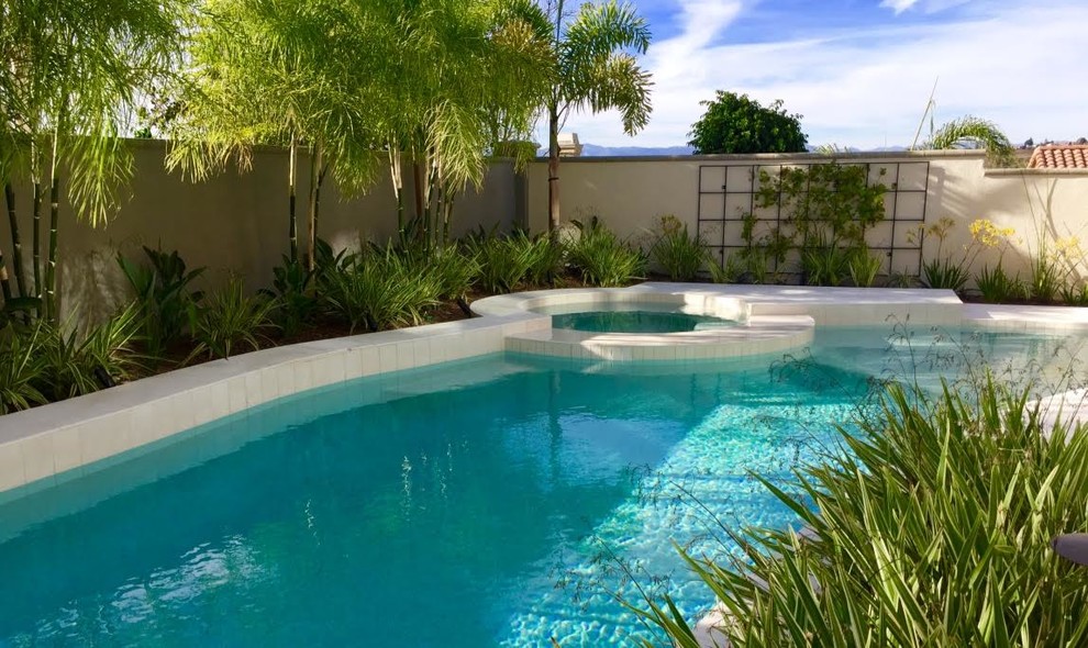 Foto de piscinas y jacuzzis tradicionales de tamaño medio tipo riñón en patio trasero con losas de hormigón