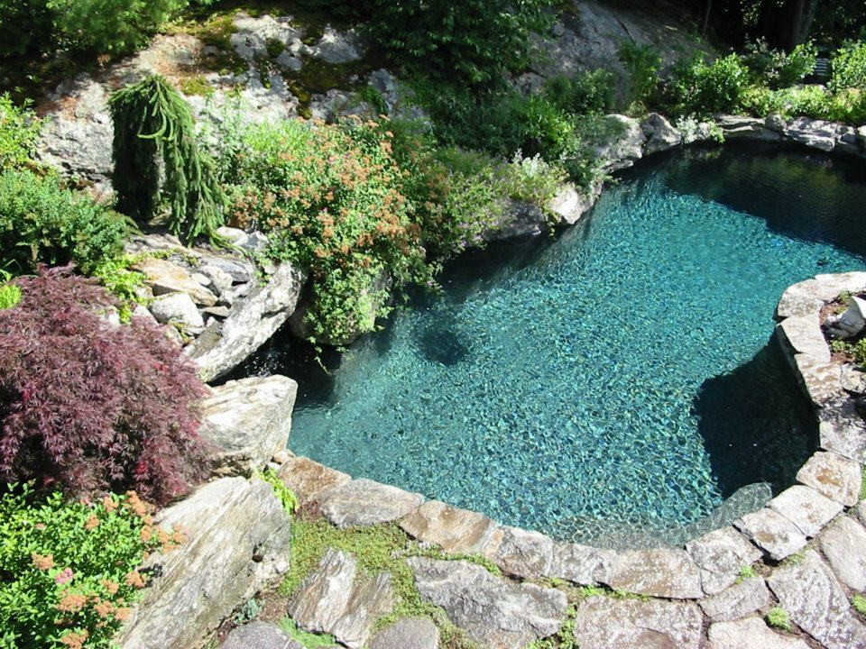 Exemple d'une piscine naturelle et arrière chic de taille moyenne et sur mesure avec des pavés en brique.