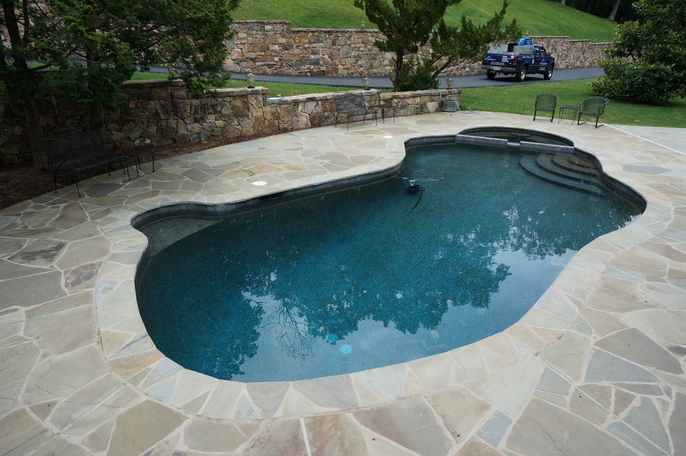 Mittelgroßer Klassischer Pool hinter dem Haus in individueller Form mit Natursteinplatten in Washington, D.C.
