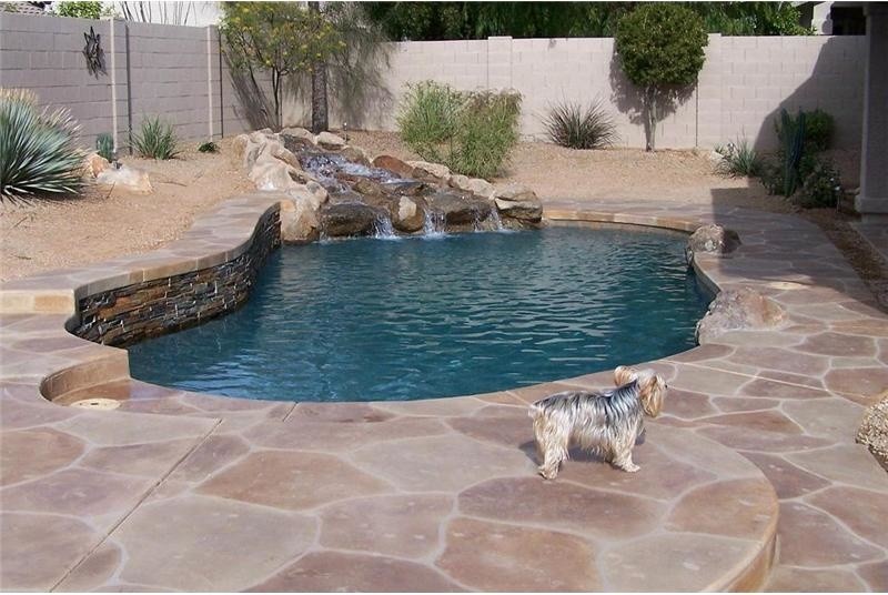 Medium sized traditional back custom shaped lengths swimming pool in Phoenix with a water feature and natural stone paving.