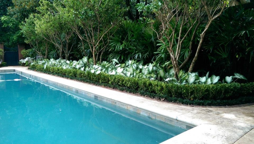 Ispirazione per una piscina classica rettangolare di medie dimensioni e dietro casa con lastre di cemento