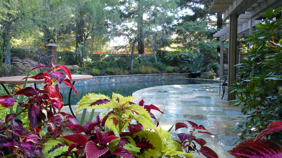 サクラメントにある中くらいなアジアンスタイルのおしゃれな裏庭プール (噴水、タイル敷き) の写真
