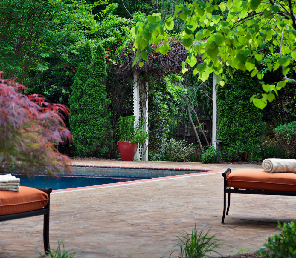 Imagen de piscina natural clásica grande rectangular en patio trasero con adoquines de hormigón