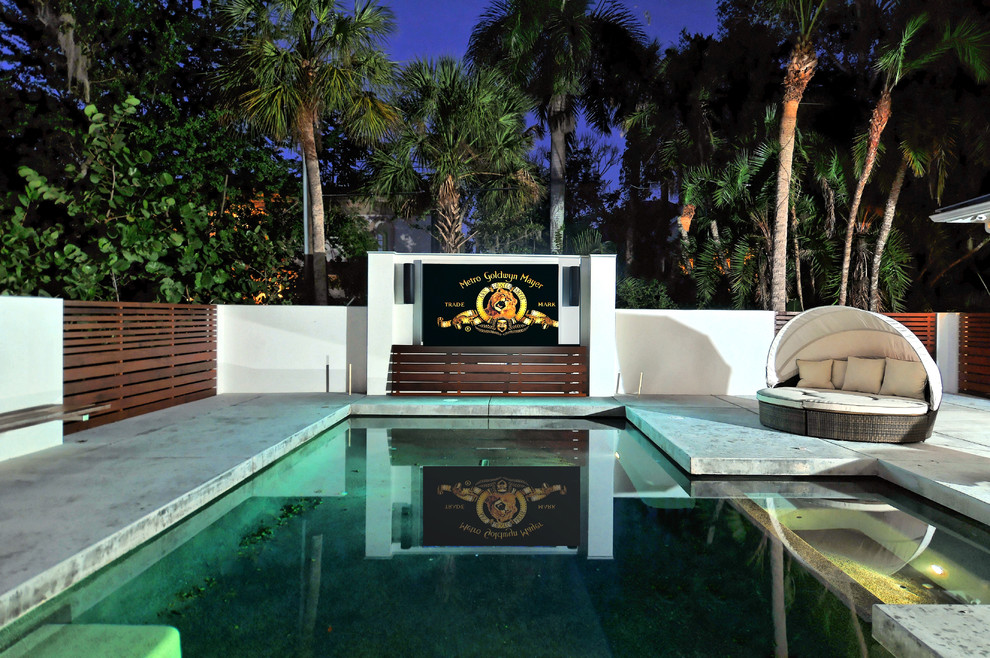 Small trendy backyard concrete and rectangular pool photo in Tampa