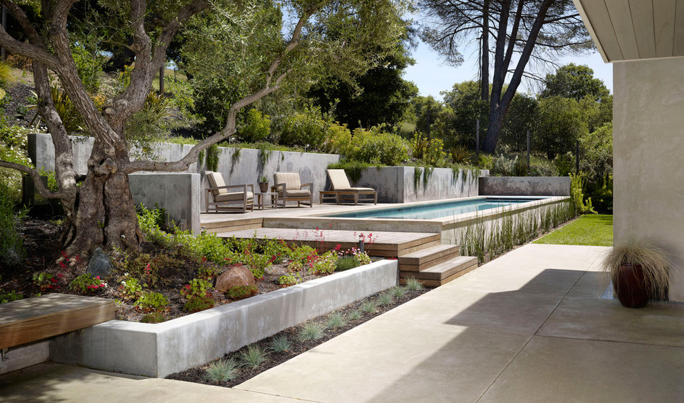 Aménagement d'un grand piscine avec aménagement paysager arrière contemporain rectangle avec une dalle de béton.