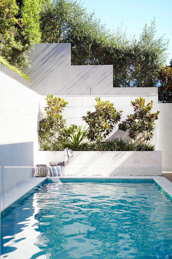 Свежая идея для дизайна: маленький прямоугольный бассейн на заднем дворе в современном стиле для на участке и в саду - отличное фото интерьера