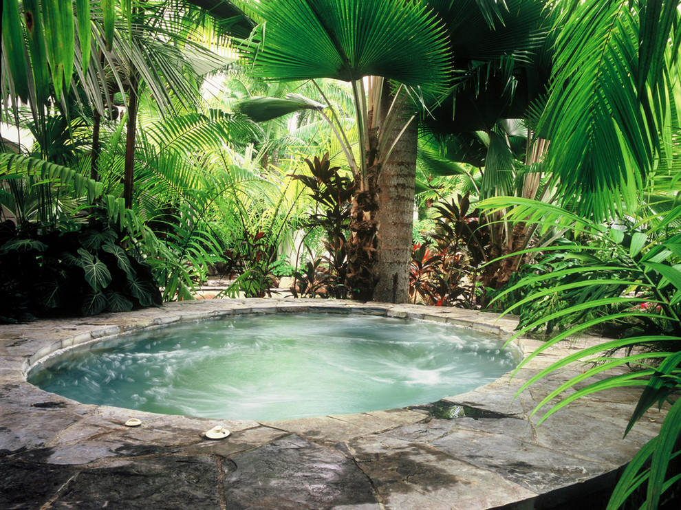 Inspiration för en tropisk pool, med spabad