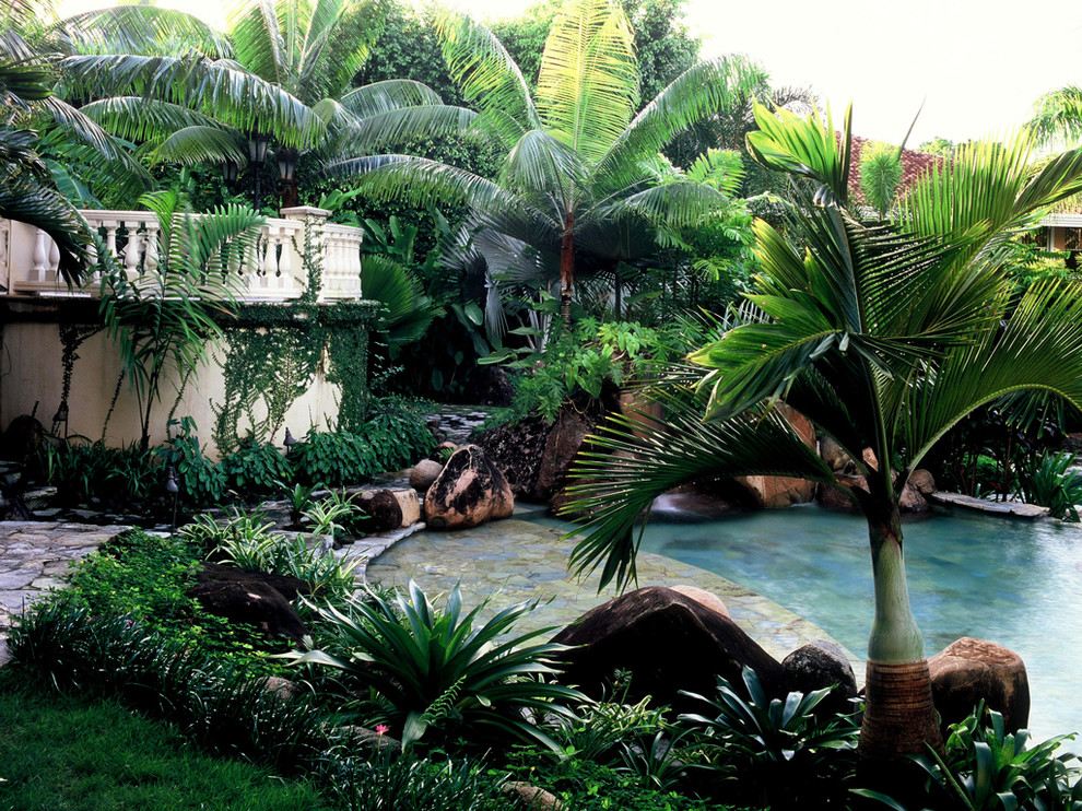 Ispirazione per una piscina naturale tropicale