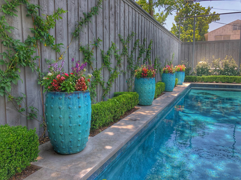 Свежая идея для дизайна: естественный, прямоугольный бассейн среднего размера на заднем дворе в стиле неоклассика (современная классика) - отличное фото интерьера