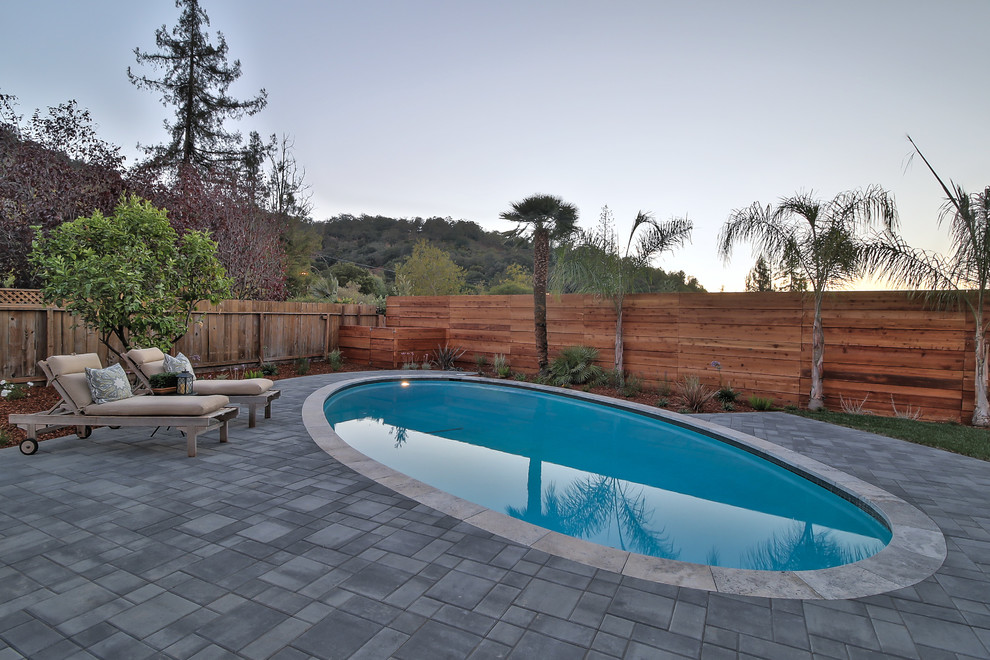 Rural back custom shaped natural swimming pool in San Francisco with concrete paving.